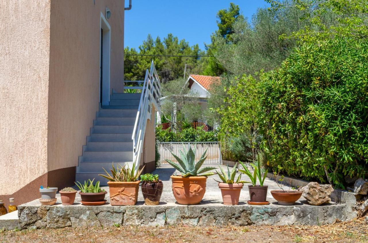 Apartment Tanja Vela Luka Exterior photo
