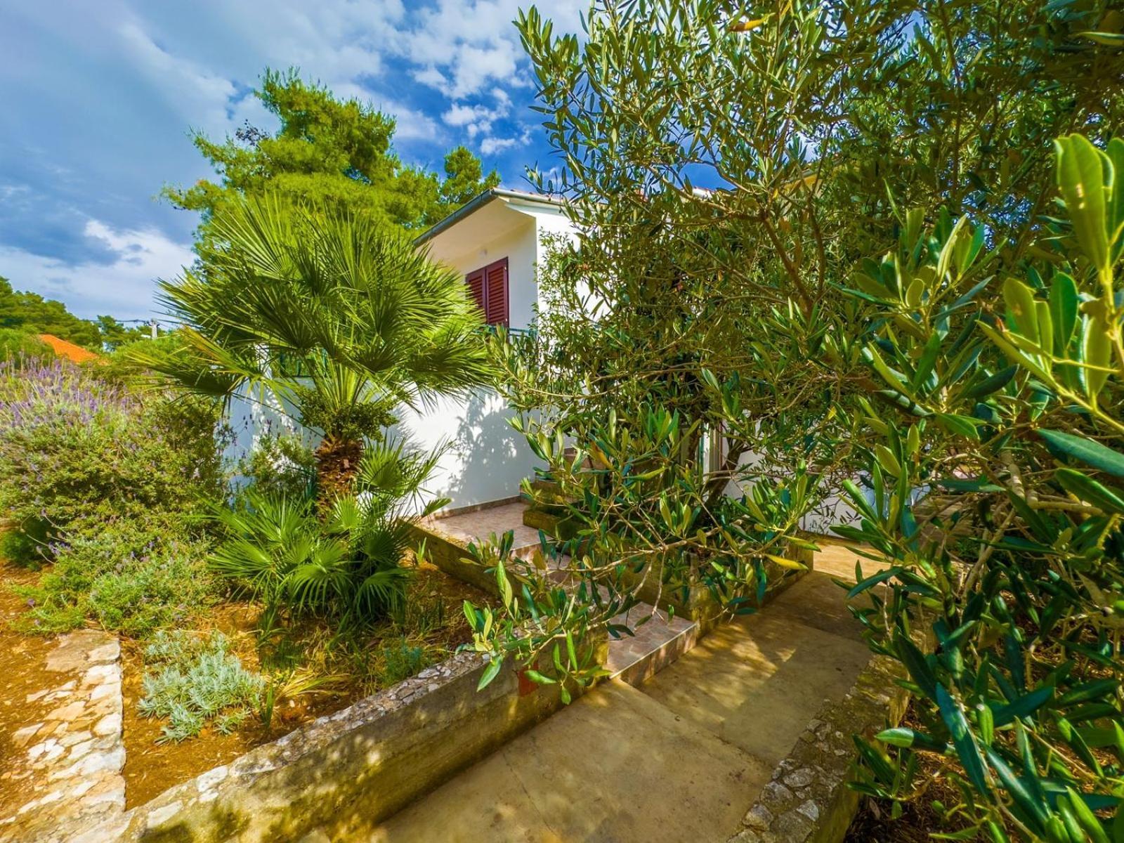 Apartment Tanja Vela Luka Exterior photo